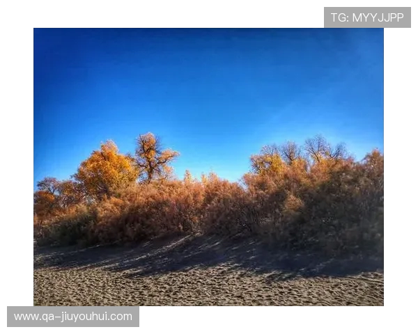 《足球小妹》：青春成长与梦想追逐的励志故事讲述女足少年逆袭之路