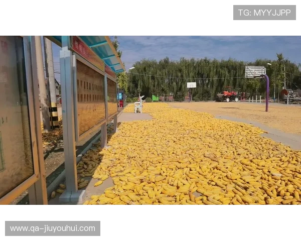 济阳回河足球文化传承与发展现状探析及未来展望